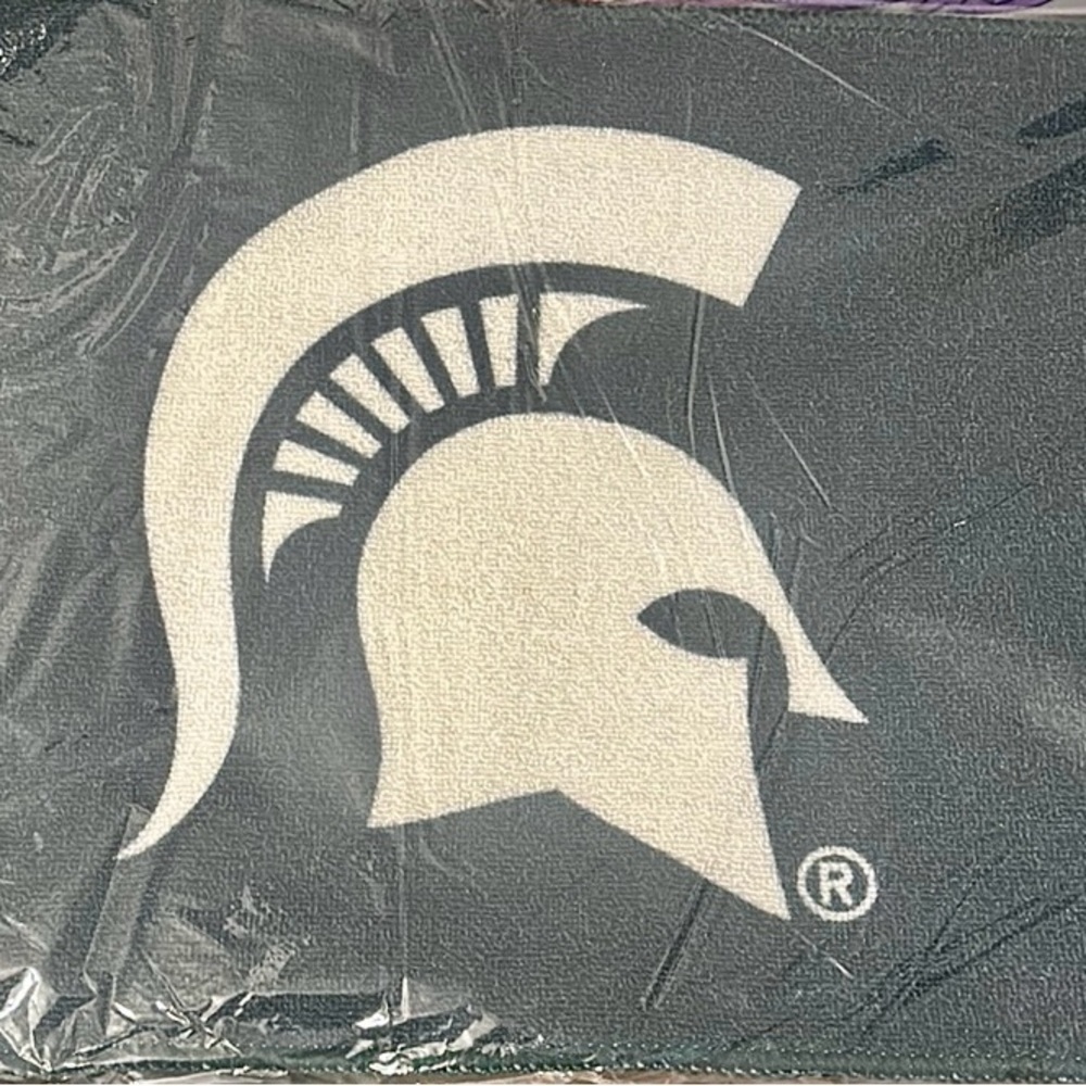 Michigan State Team spirit rug